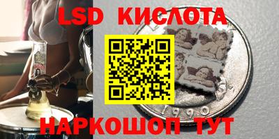прущие грибы Гусиноозёрск