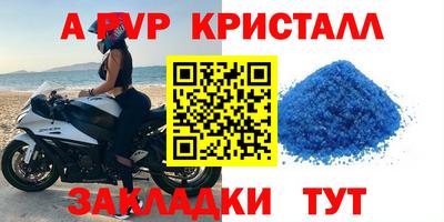 прущие грибы Гусиноозёрск