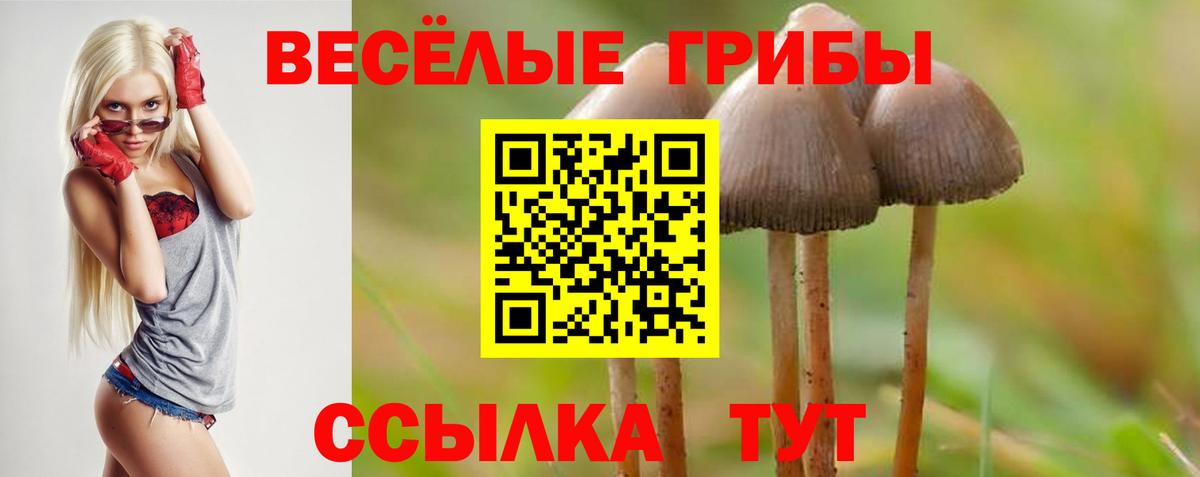 Псилоцибиновые грибы ЛСД  Галлюциногенные грибы MAGIC MUSHROOMS  Новозыбков  Вход с VPN 