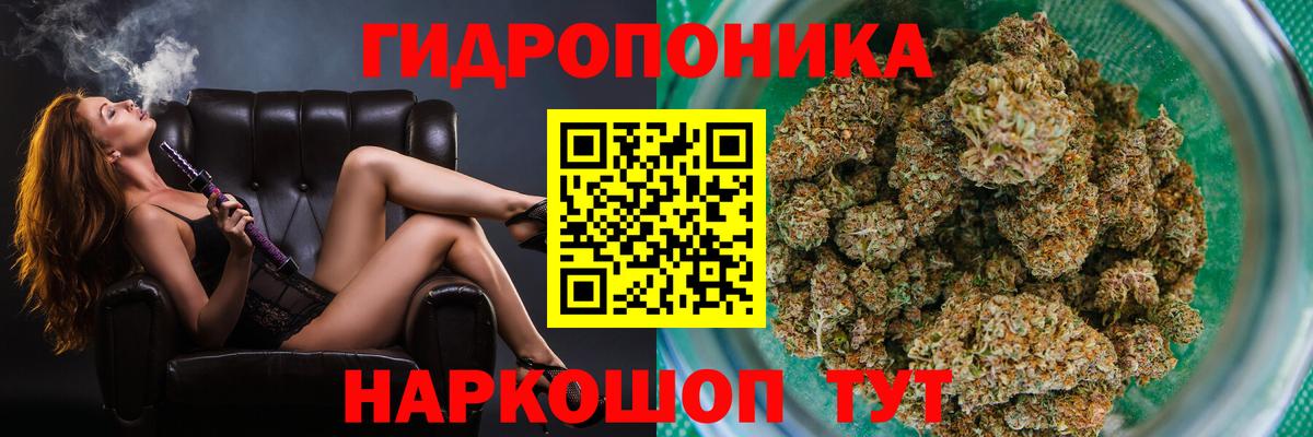 Марихуана Ganja  Вход с VPN  Бошки Шишки планчик  Новозыбков 